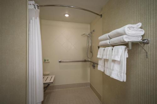 Holiday Inn Arlington at Ballston an IHG Hotel - image 4