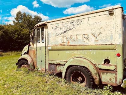 Arcady Mountain Motor Lodge - image 14