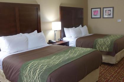 Comfort Inn & Suites Artesia - image 15