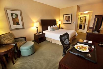 Hilton Garden Inn Dulles North - image 6