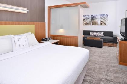 SpringHill Suites Ashburn Dulles North - image 10