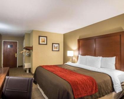 Comfort Inn Asheville Biltmore West - image 2