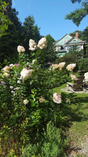 Cumberland Falls Bed & Breakfast Inn - main image