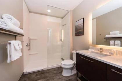 TownePlace Suites by Marriott Asheville Outlet Area - image 3