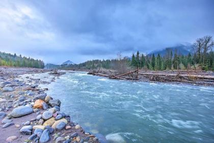 Quiet A-Frame Cabin Walk to Nisqually River - image 2