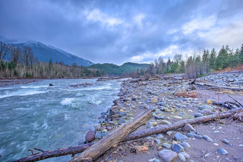 Quiet A-Frame Cabin Walk to Nisqually River - image 6