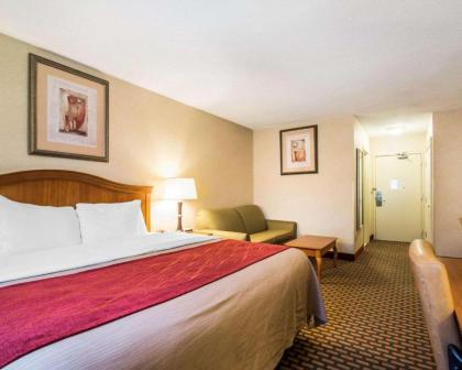 Quality Inn - image 11