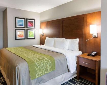 Quality Inn & Suites Ashland near Kings Dominion - image 15