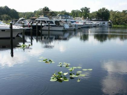 Big River Marina & Lodge - image 6