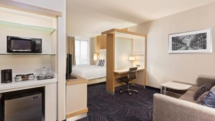 SpringHill Suites by Marriott Paso Robles Atascadero - image 6