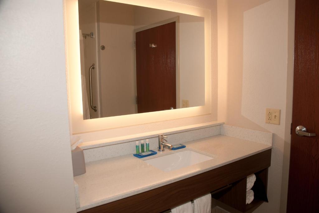 Holiday Inn Express Hotel & Suites Athens an IHG Hotel - image 3