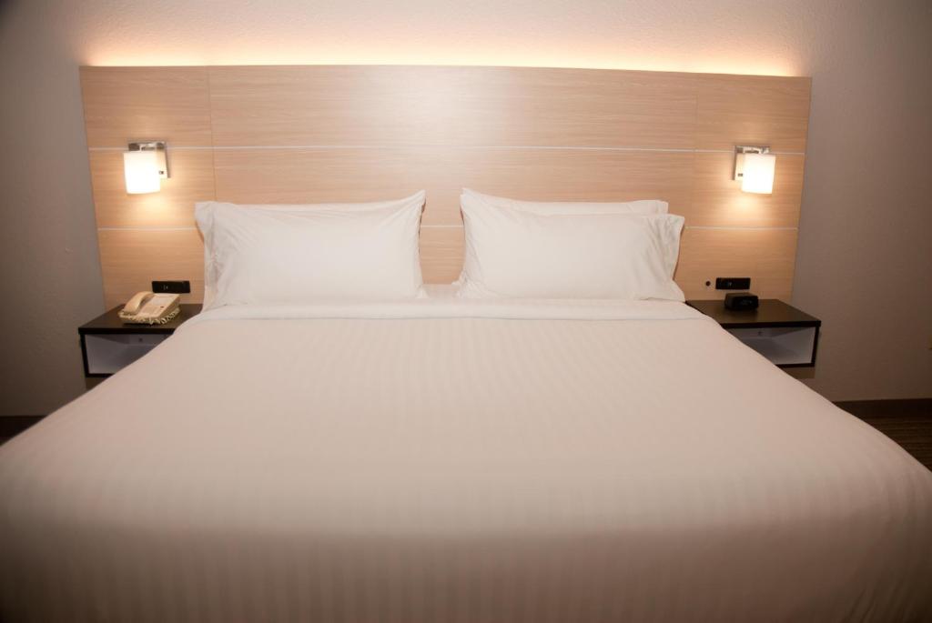 Holiday Inn Express Hotel & Suites Athens an IHG Hotel - image 7