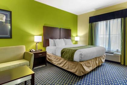 Comfort Inn Athens - image 9