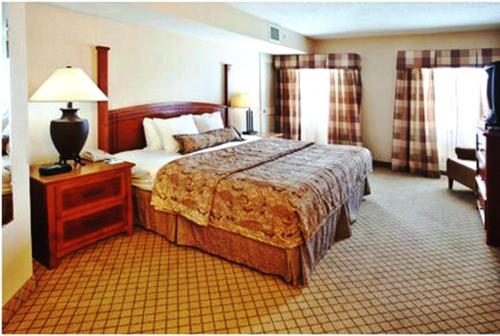 Staybridge Suites Atlanta-Buckhead an IHG Hotel - image 4