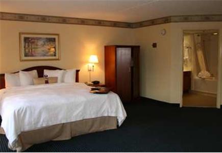 Hampton Inn & Suites Atlanta-Galleria - image 2