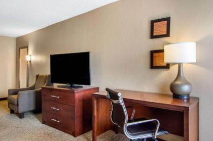 Comfort Inn Sandy Springs – Perimeter - image 3