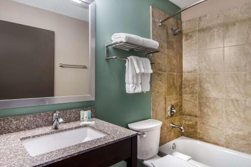 Clarion Inn & Suites Atlanta Downtown - image 2