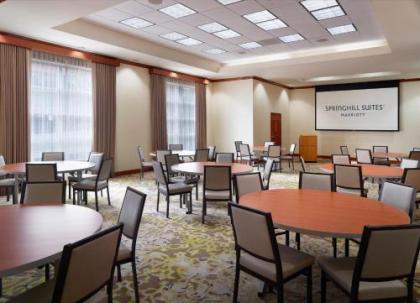 SpringHill Suites by Marriott Atlanta Buckhead - image 3