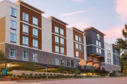 Homewood Suites Atlanta/Perimeter Center - image 2