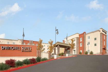 SpringHill Suites by Marriott Auburn - image 15