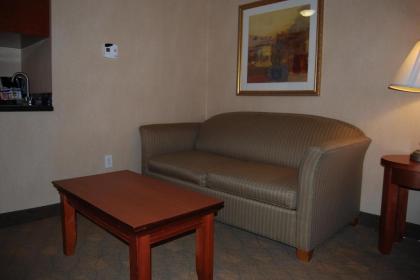 Holiday Inn Express Hotel & Suites Auburn Hills an IHG Hotel - image 6