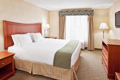 Holiday Inn Express Hotel & Suites Auburn Hills an IHG Hotel - image 7