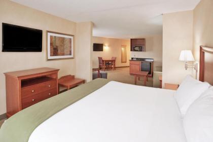 Holiday Inn Express Hotel & Suites Auburn Hills an IHG Hotel - image 9