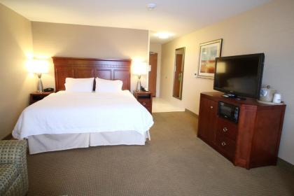 Hampton Inn Detroit/Auburn Hills-North - image 12