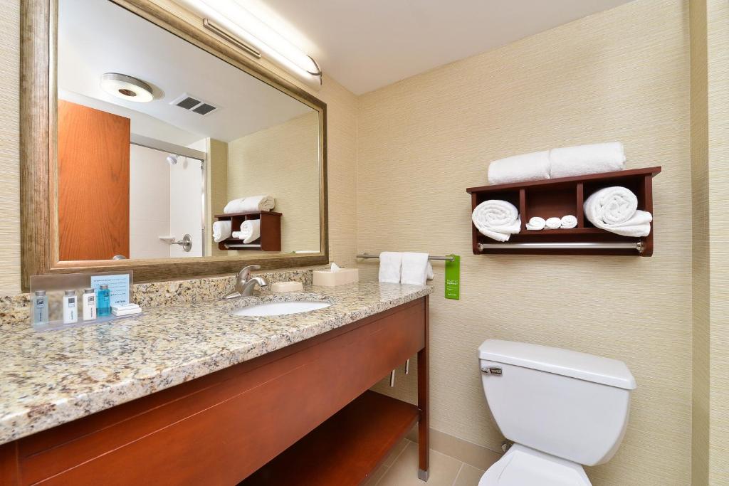 Hampton Inn Detroit/Auburn Hills South - image 5