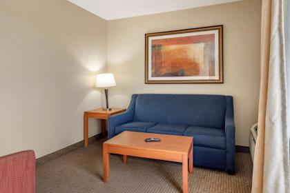 Comfort Suites Auburn Hills - image 12