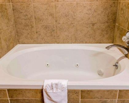 Quality Inn Auburn Hills - image 2