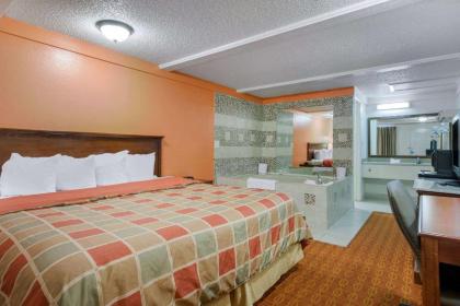 Rodeway Inn Auburn Hills - image 12