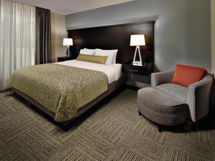 Staybridge Suites Auburn Hills an IHG Hotel - image 8