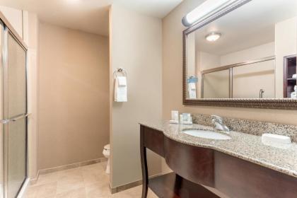 Hampton Inn Auburn - image 10