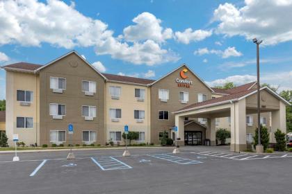 Comfort Suites Auburn - image 1