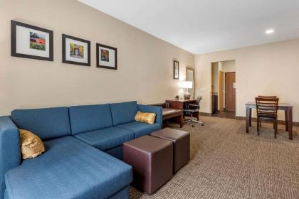 Comfort Suites Auburn - image 9