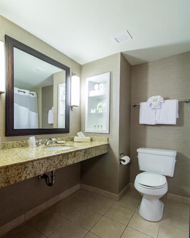 Holiday Inn Express Hotel & Suites Auburn an IHG Hotel - image 4