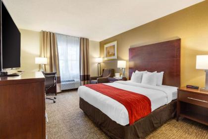 Comfort Inn Auburn-Worcester - image 9