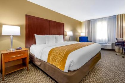 Comfort Inn Auburn – Seattle - image 13