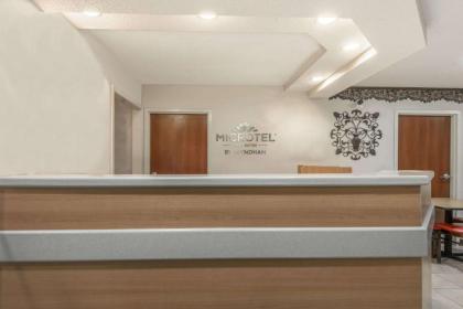 Microtel Inn & Suites by Wyndham Auburn - image 5