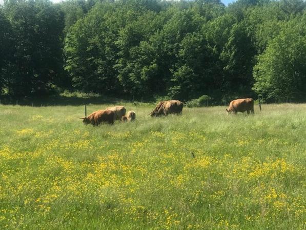 Tentrr Signature Site - Maple Grove Cove at Ewe Turn Farm - image 7