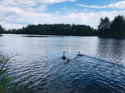 Tentrr Signature Site - Waters Edge at Ewe Turn Farm - image 10