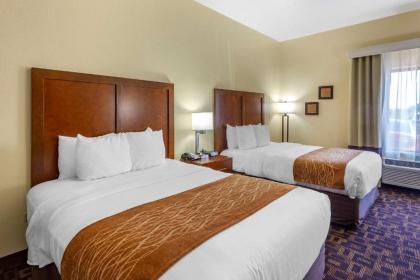 Comfort Inn & Suites North Aurora - Naperville - image 12