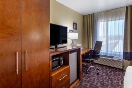 Comfort Inn & Suites North Aurora - Naperville - image 2