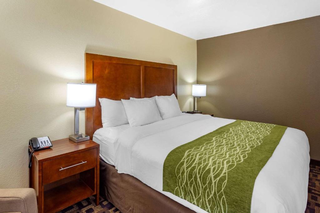 Comfort Inn & Suites North Aurora - Naperville - image 3