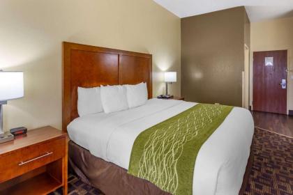 Comfort Inn & Suites North Aurora - Naperville - image 5