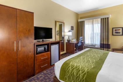 Comfort Inn & Suites North Aurora - Naperville - image 6