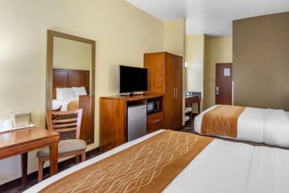 Comfort Inn & Suites North Aurora - Naperville - image 9