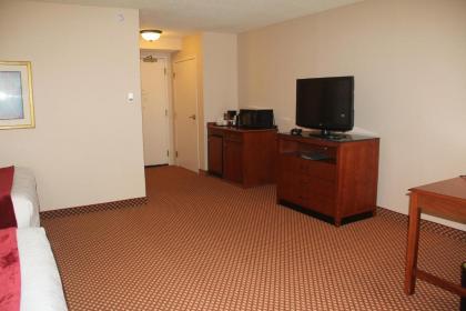 Hilton Garden Inn Denver Airport - image 2