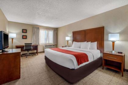 Comfort Inn Denver Southeast - image 10